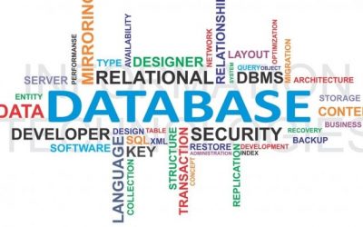 Importancia de las Bases de Datos a nivel Empresarial